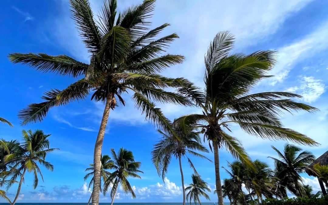 Hotel El Paraiso Tulum – Tulum Hotels