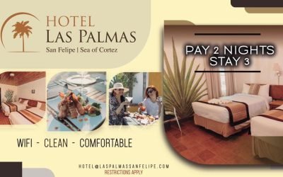 Hotel Las Palmas San Felipe – San Felipe Hotels – Baja California