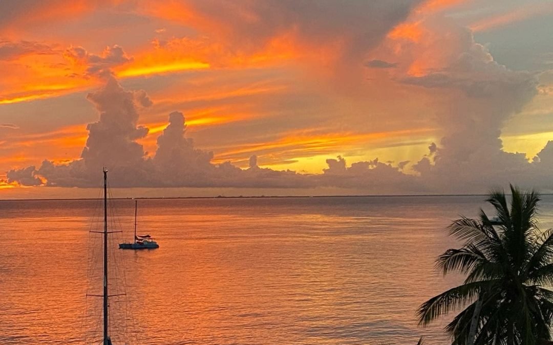 Sereno Roof Top Restaurant Cozumel – Cozumel Restaurants