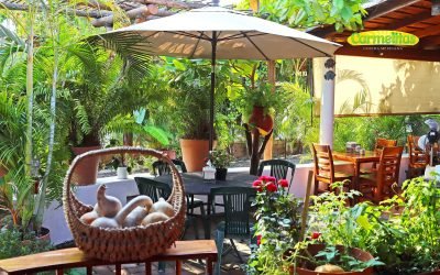 Carmelitas Café – Ixtapa / Zihuatanejo Restaurants