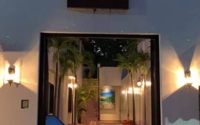 Coconuts Restaurant & Bar – Ixtapa / Zihuatanejo Restaurants