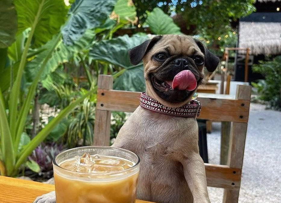 Ki Bok Cafe – Tulum Restaurants