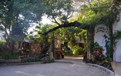 La Cueva del Chango – Playa del Carmen Restaurants
