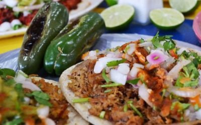Los Takuchos – San Carlos/Guaymas Restaurants